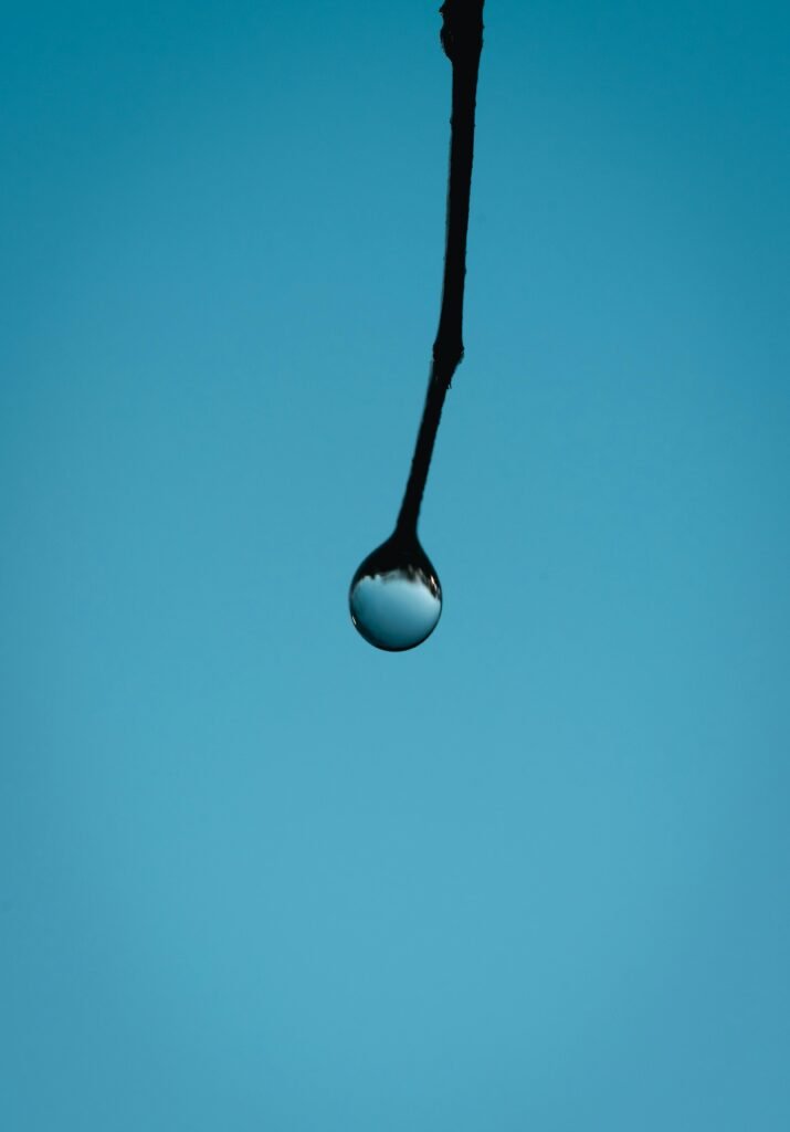 A single water droplet hanging from a branch against a clear blue sky.