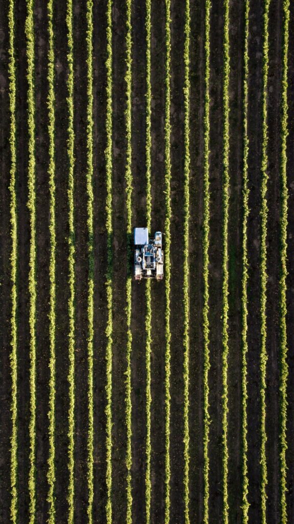 Aerial view of a tractor working in neat rows of a field, showcasing modern agriculture.
